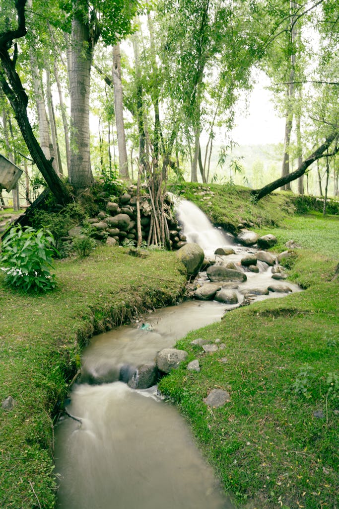 Serene greenery surrounds a gentle waterfall cascading through Badgam's lush forest.
